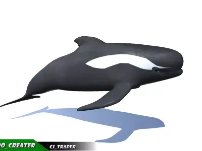 Low-Poly Long finned Whale Rigged Animated 3D model Low-poly 3D model