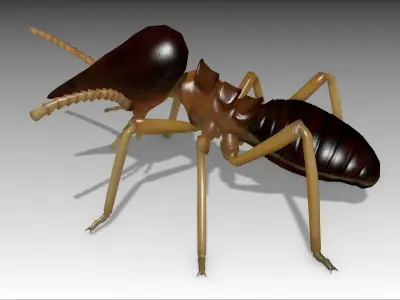 Nasute Termite Low-poly 3D model