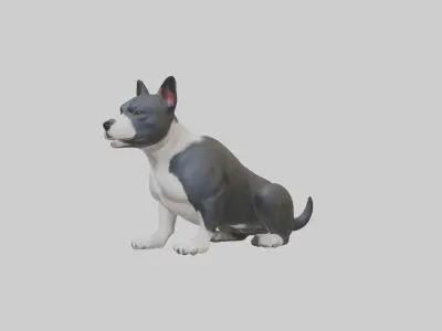 Sitting Staffordshire Bull Terrier model Low-poly 3D model