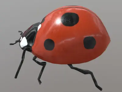Ladybug plastic Free low-poly 3D model