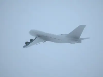 Simple Boing model Low-poly 3D model