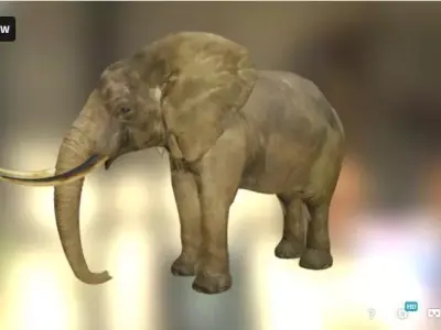 Elephant in environment Free low-poly 3D model