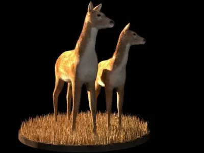 Deer 3d model two in grass Low-poly 3D model