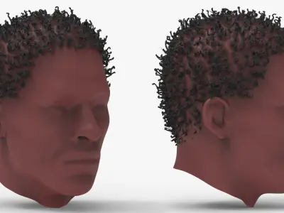 6 Afro Haircut Style 3D model