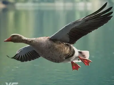 Goose Animation VFX Grace 3D model
