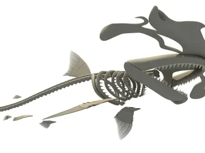 Hammerhead Shark Skeleton 3D model