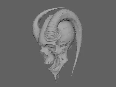 Skull Model 3D model