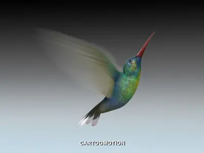 Humming bird Low-poly 3D model