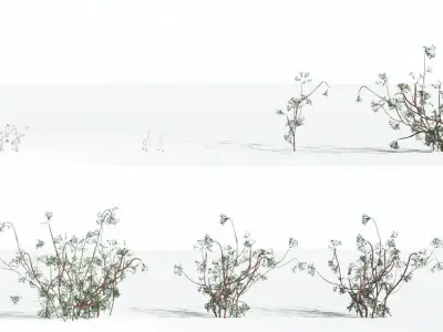 EVERYPlant Baiera LowPoly 3 --14 Models-- Low-poly 3D model