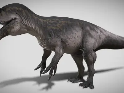 Neovenator a fearsome theropod dinosaur Low-poly 3D model