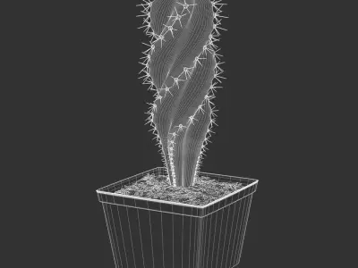  Spiral Cactus Potted Plant Model 