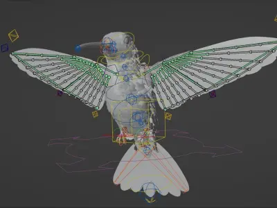 Hummingbird  Low-poly 3D model