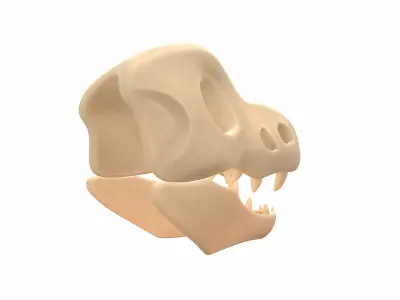 Dinosaur Skull 3D model