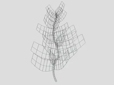 Antipatharia coral Low Poly Free low-poly 3D model