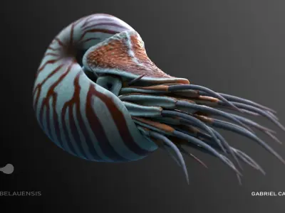 Nautilus belauensis Static Low-poly 3D model