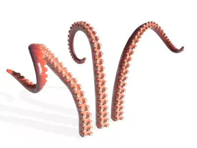 Kraken Octopus Tentacle Rigged Low-poly 3D model