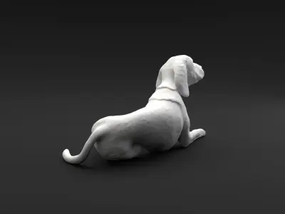 Beagle laying down intended for 3D printing FREE model Free 3D print model
