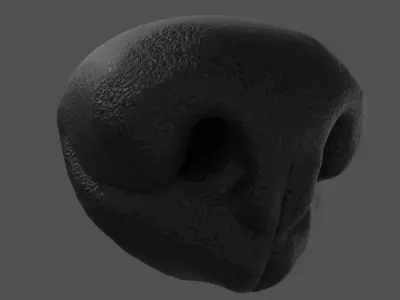 Dog Nose  Low-poly 3D model