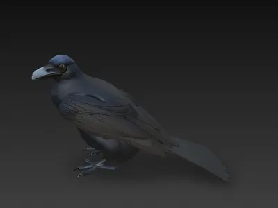 Crow Black Realistic 3D Model Basic - Low Poly Realistic Low-poly 3D model