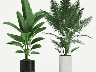 Indoor Plant Set 01 3D model