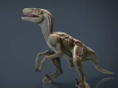 Velociraptor dinosaur Low-poly 3D model