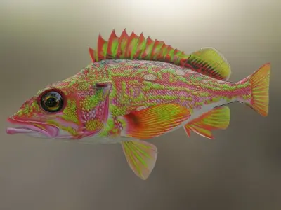 Fish Rosethorn Rockfish 3D model Low-poly 3D model