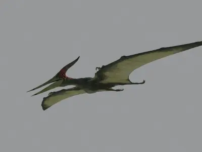 Pterodon dinosaur flying in sky 3D model