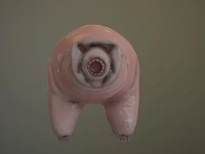 Tardigrade  Midpoly 3D model