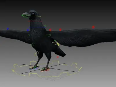Crow Rigged and Animated Low-poly 3D model
