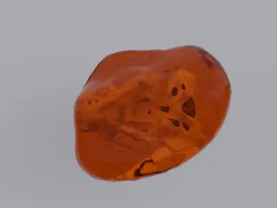Sea Otter Skull Trapped within Amber 3D model