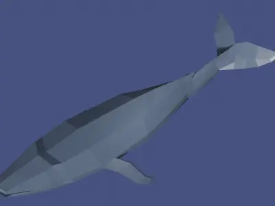 Whale Free low-poly 3D model