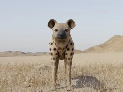 Hyena dog Low-poly 3D model