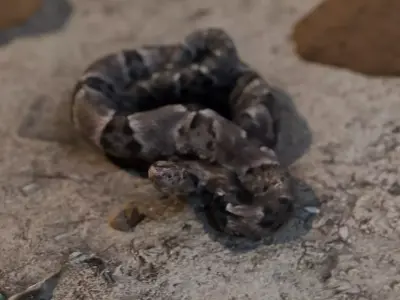 jararaca scan Free 3D model