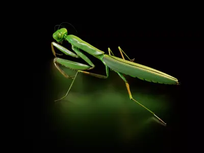 Praying Mantis Rig PBR 3D model