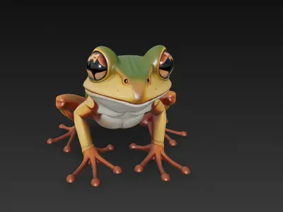 Frog Realistic 3D Model Basic - Low Poly Realistic Low-poly 3D model