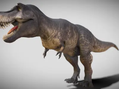 Tyrannosaurus rex Black Beauty Low-poly 3D model
