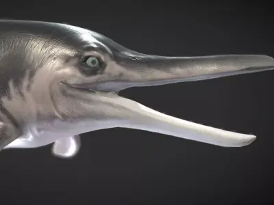 Temnodontosaurus Low-poly 3D model