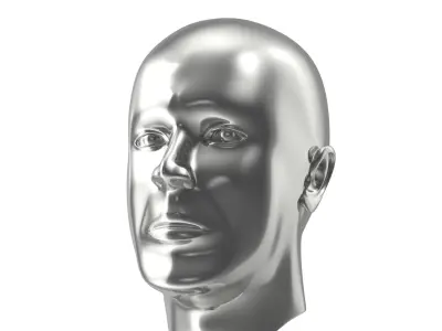 Silver Head Statue 3D model