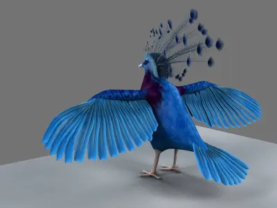 Victoria Crowned Pigeon 3D model