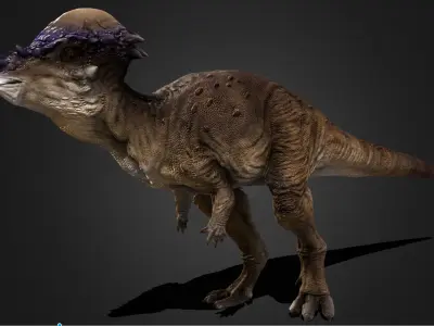 Pachycephalosaurus  Low-poly 3D model