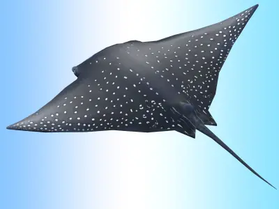 Manta Ray  Low-poly 3D model