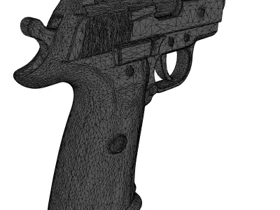 Worn Wooden Pistol Grip 3D model