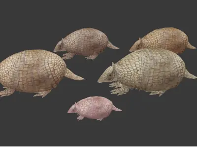 Holmesina armadillo Low-poly 3D model