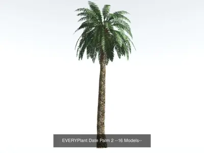 EVERYPlant Date Palm Bundle --64 Models-- 3D Model Collection