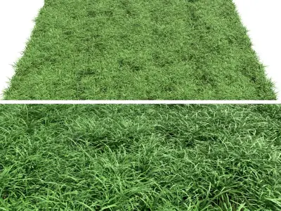 Green lawn Free 3D model