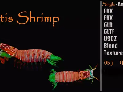 Mantis Shrimp Low-poly 3D model