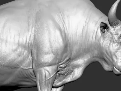 Bizon Bison bison most VFX Zbrush Sculpture Digitale 3D model