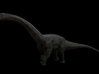 Sauropoda - Long Neck Dinosaur Low-poly 3D model