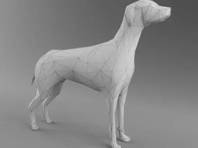 Dog 3D Model - Low Poly 2019 Nice Anatomy with 3D Scene Low-poly 3D model