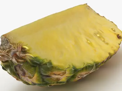 Pineapple Slice 3D model